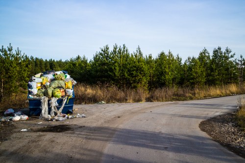 Different types of skips for various waste disposal needs